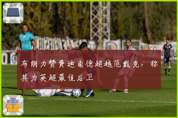 布朗力赞费迪南德超越范戴克，称其为英超最佳后卫