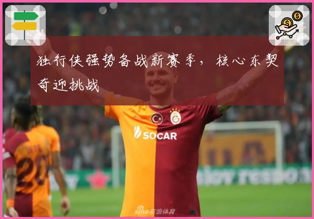 独行侠强势备战新赛季，核心东契奇迎挑战