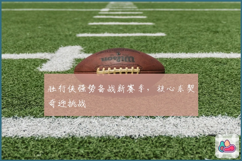 独行侠强势备战新赛季，核心东契奇迎挑战